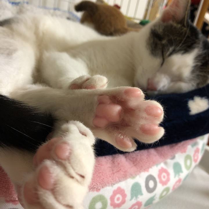 20d529c5 d96c 4260 94dd 51d86f282282 1581596237277