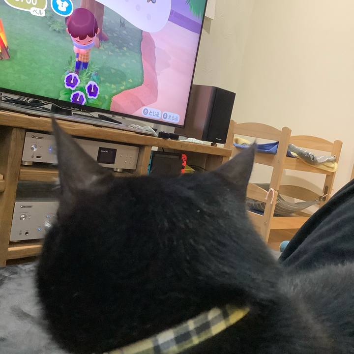 20d52bb6 dc08 4335 adec 5ad0a9b5bb0a 1588149351231