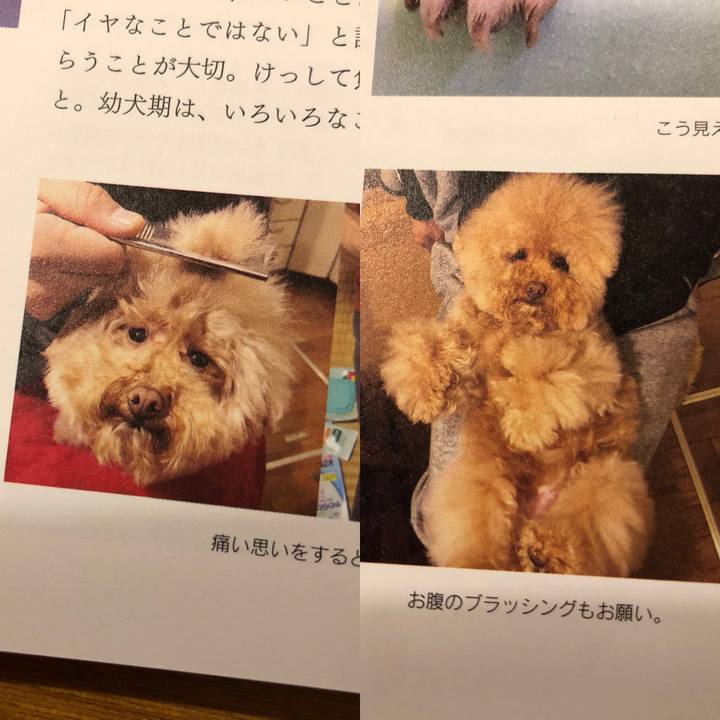 20d538e9 98de 4b06 abec 7282b7db96f3 1576236701026