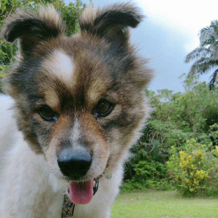 20d58108 c7b0 4496 9f4d 846db84b57e8 1629812440833