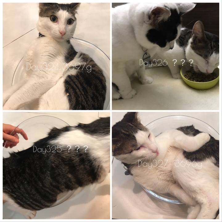 20d590e1 772b 4aeb b55e f82443e4d88e 1515051938669