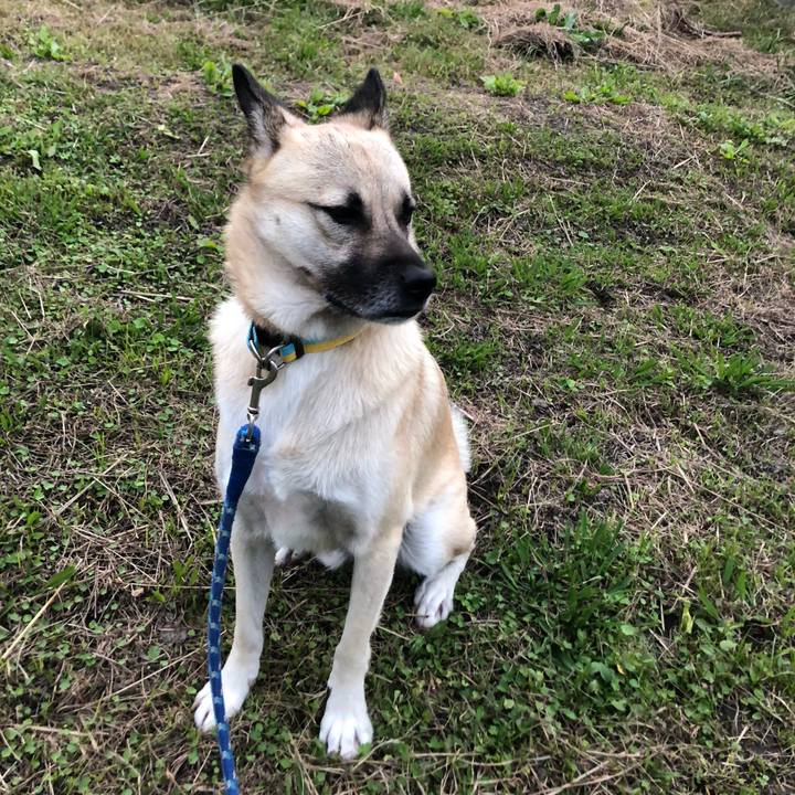 20d5d315 a4ab 416a 883c ca024dc3ec9a 1574077809064