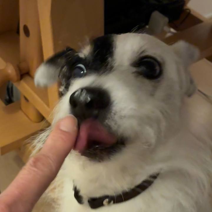 20d5dcc0 abb7 4b39 8ac2 cdf0d9aad778 1773058770185