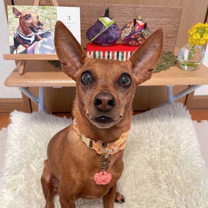 20d5e00a 70bd 4419 b6fe e6f0c93a59d4 1677702206972