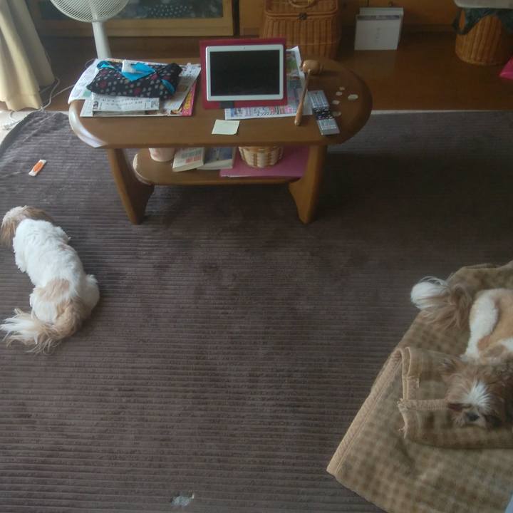 20d6034d a9a6 45b2 a276 4149b32742bd 1591503525466