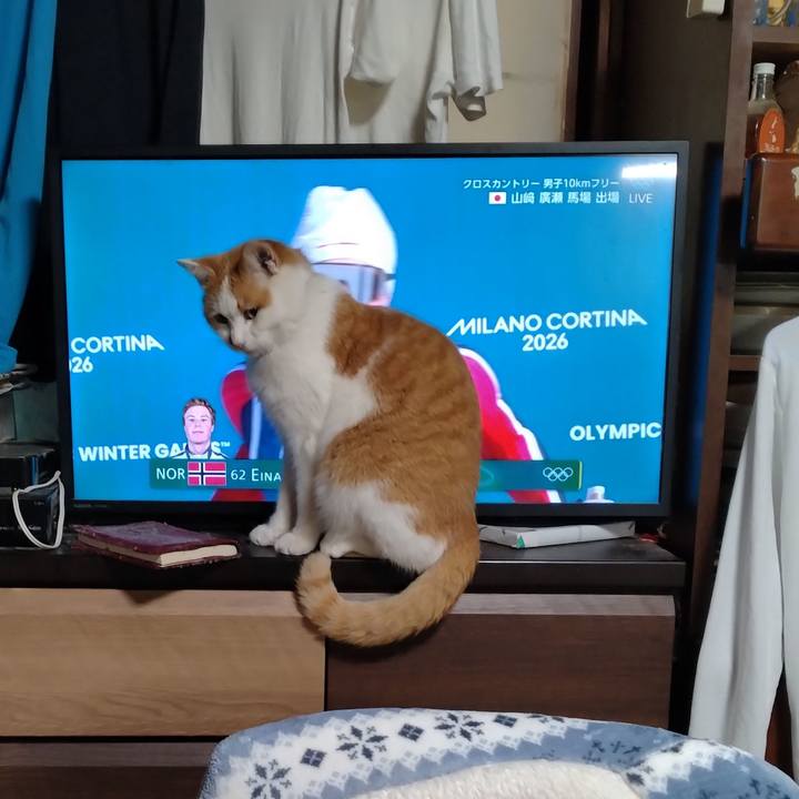 20d625c1 9f49 4be9 a4c2 a6eb032538d5 1770984411245