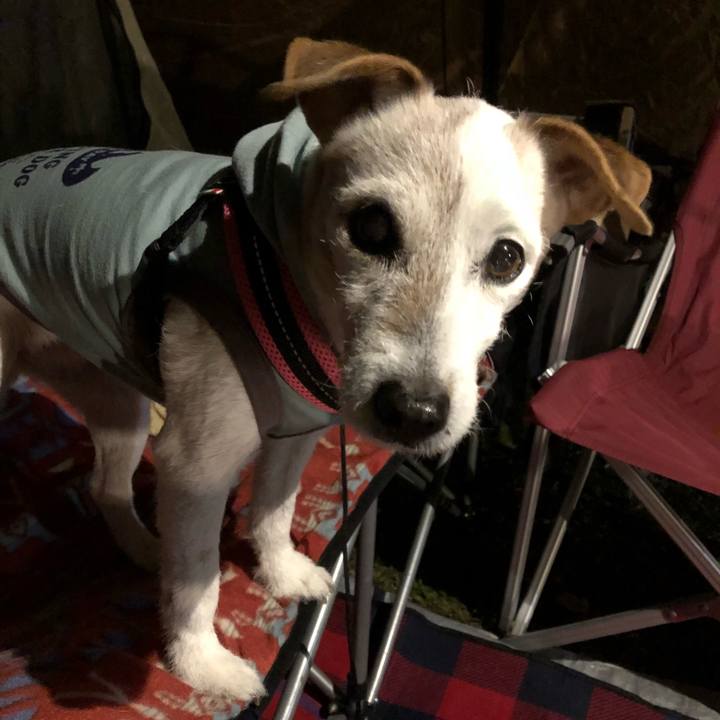 20d66daf 231c 49cf a4fd b780f9e27b15 1525431309626