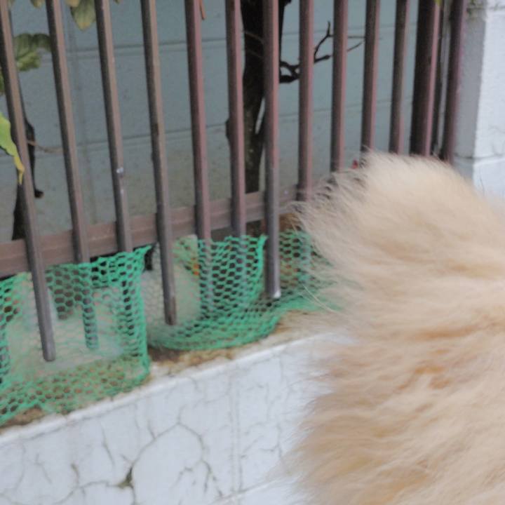 20d695f4 1c45 471f 99db aeb58d090860 1725319584449