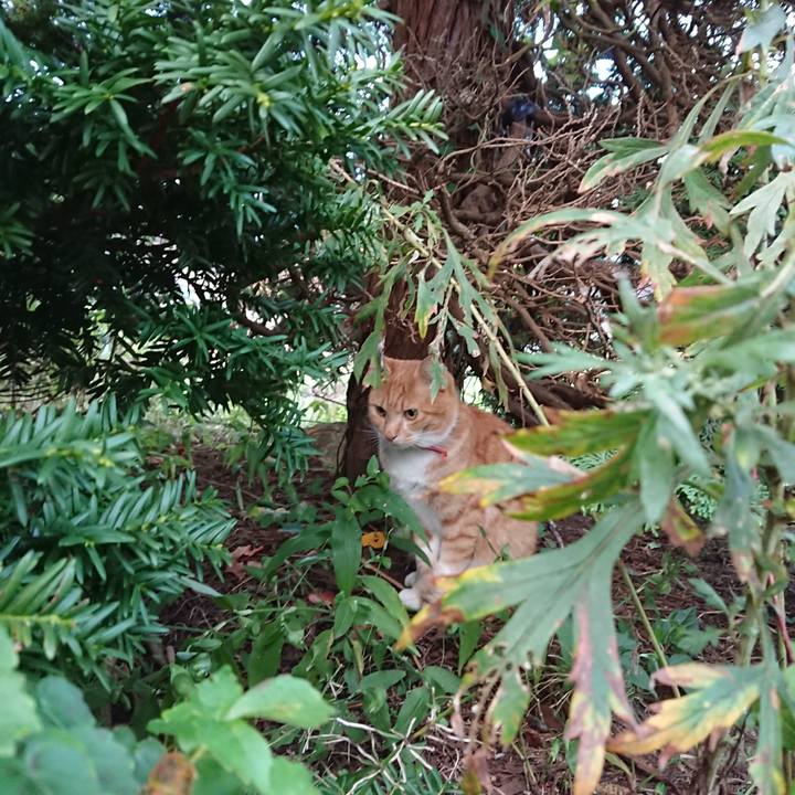 20d6a220 b7fe 48ad 873f a80f7282fe4a 1569359113885