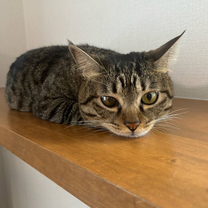 20d6a701 b253 4593 93ef 5d0796731afb 1758761909751