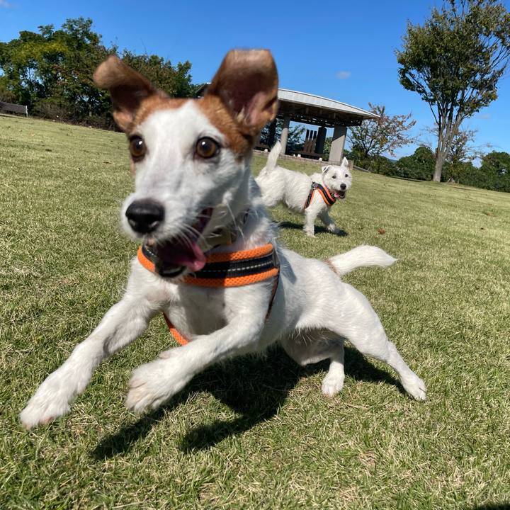 20d6b5ac dff5 4045 863d ea2107dc792a 1761270400410