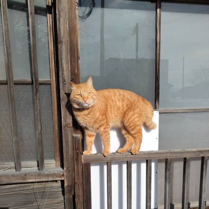 20d70602 a8bc 4c69 8b4d f871207e0529 1672192149896