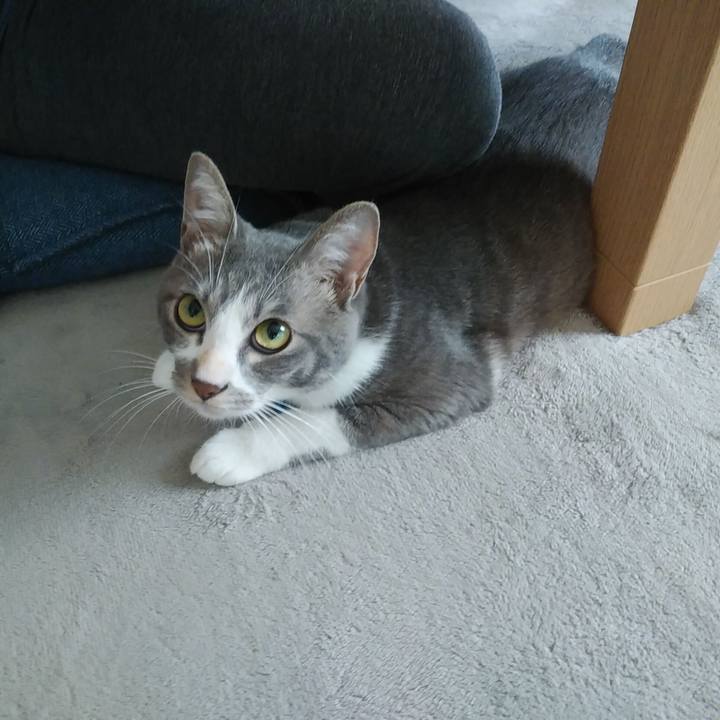 20d70b88 d4a6 43f9 9e90 bd7a43e7b339 1594164628787