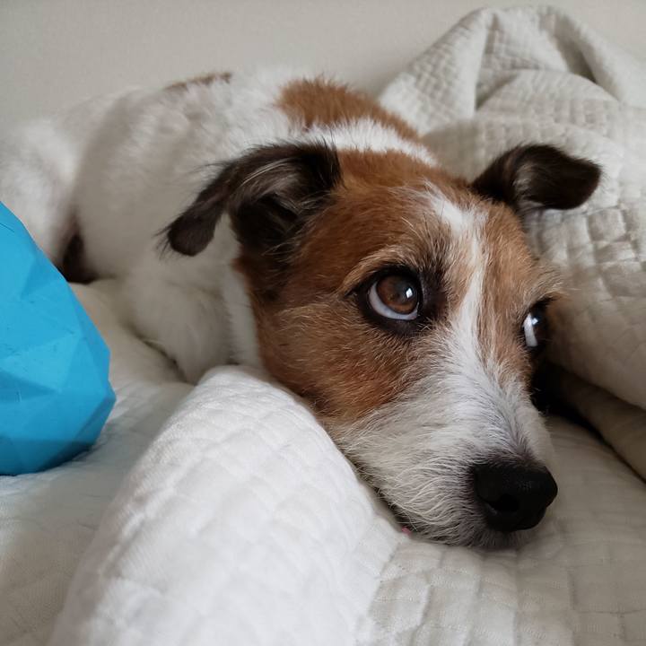 20d71980 a268 458d 9262 a25c7a36a341 1759191780163