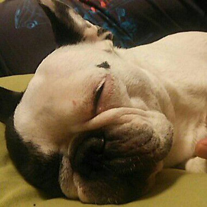 20d72580 391a 4731 9515 8e81bb361300 1540131431112