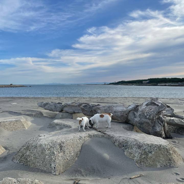 20d72651 739a 4b4a 8526 749875d58098 1695598576444