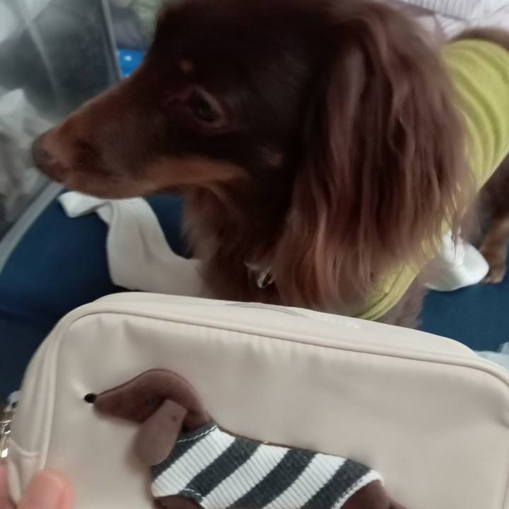 20d74906 54bf 4d84 91eb 94b9a063b36c 1761688450223