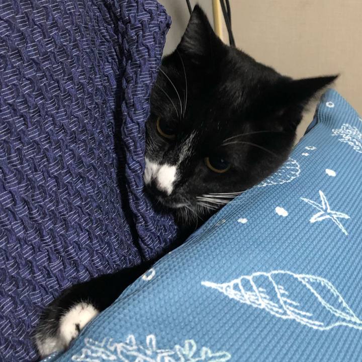 20d74f55 11fd 41f4 90e7 5f3a59901b5b 1639107254293