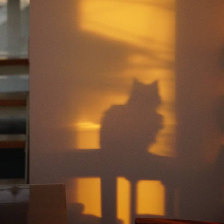 20d76ac3 ac1e 43e7 8227 9179d39e0d0f 1559048590116