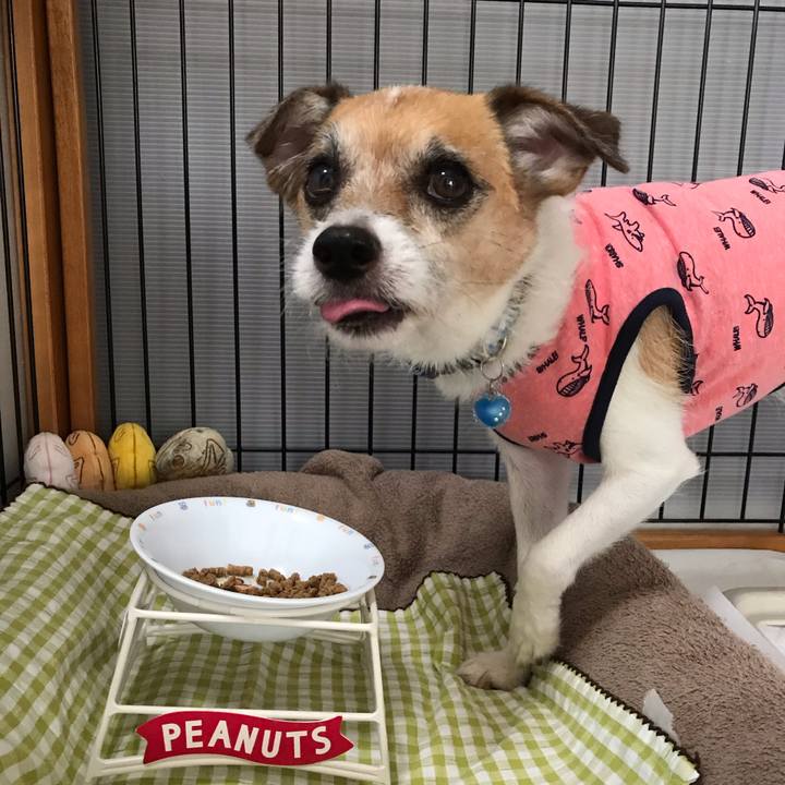 20d79a7f d920 45ce 90de 7bc17ac6fc99 1567719005571