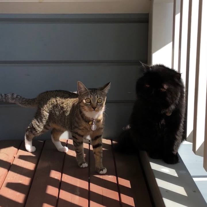 20d79f88 9a6f 4c4f 895a d29b19aa3722 1568954280948