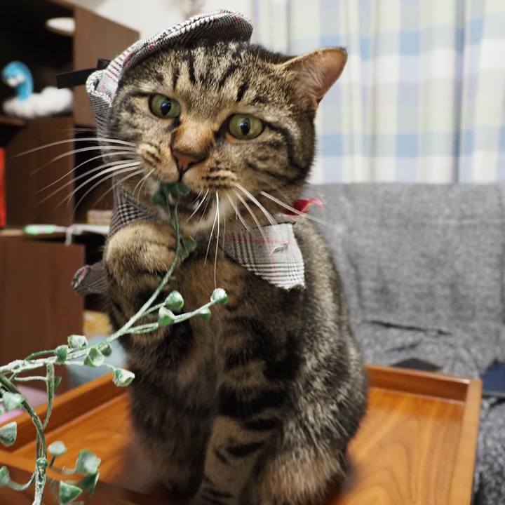 20d7d8c2 529b 4f8b 8afe 870b7e6e34a3 1606130981166