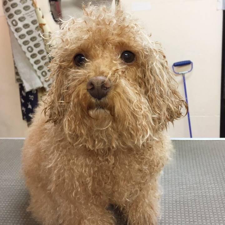 20d80305 1952 4adb b653 e21c3aedd414 1527943169607