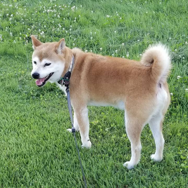 20d84dc8 8eab 4303 864b 9582e916633f 1597738643495