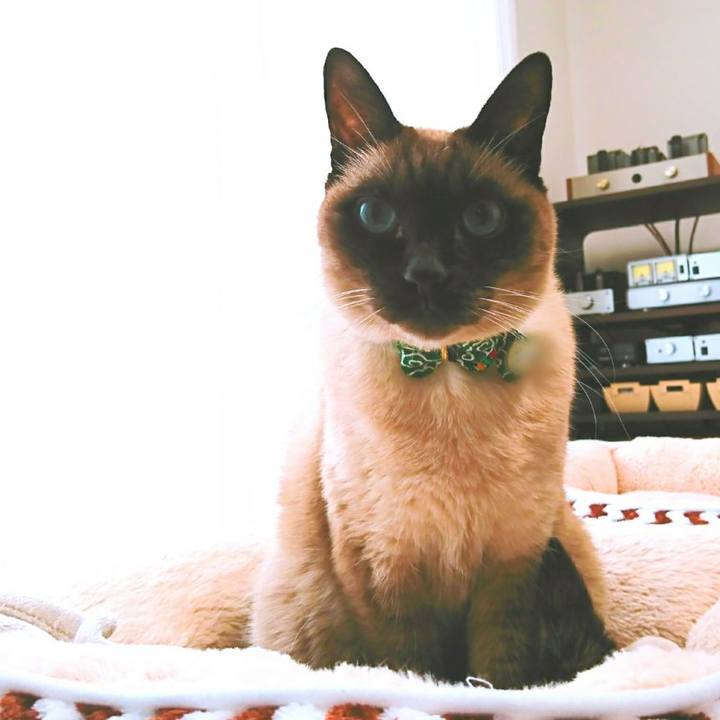 20d8b3e9 5fe4 47a5 8daa 0db1300ba64a 1514941524672