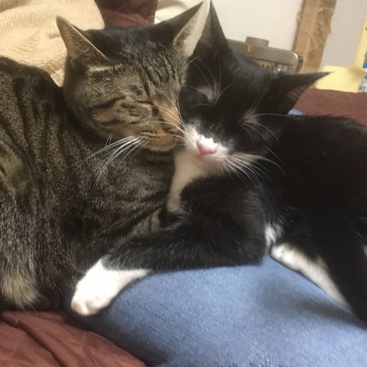 20d8bbff a2b4 4baa 87f8 ac00db93b92b 1516271636395