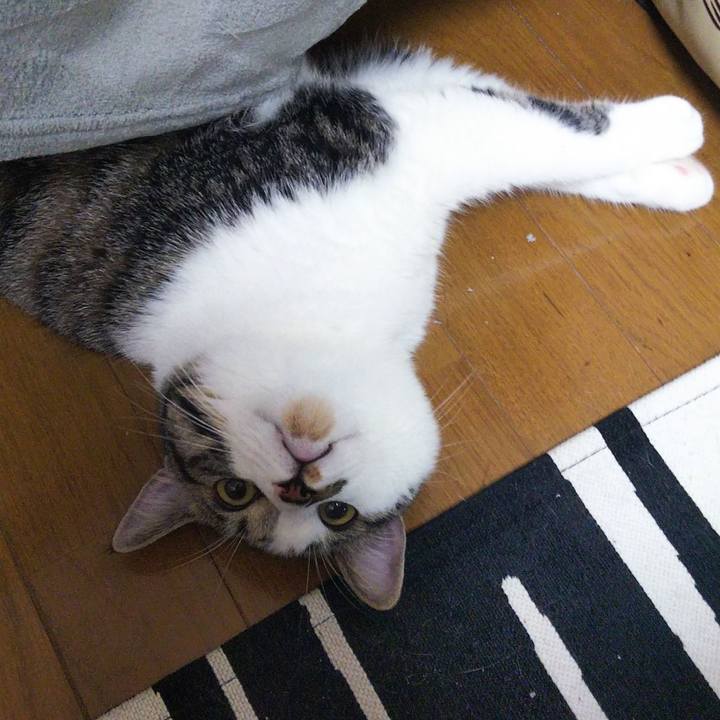 20d8e392 d7b5 423f 9d69 fab6dfbacd1c 1624452091728