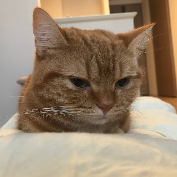 20d8f67b 4768 4dd6 91dd d7cb512c3670 1508283046746