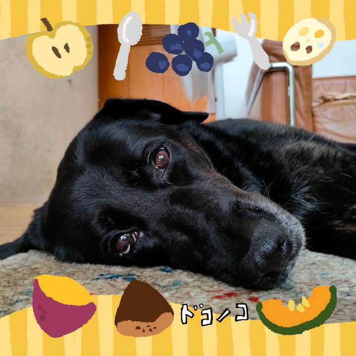 20d911ad 1a92 45b9 8011 e6a452030e09 1726898635228