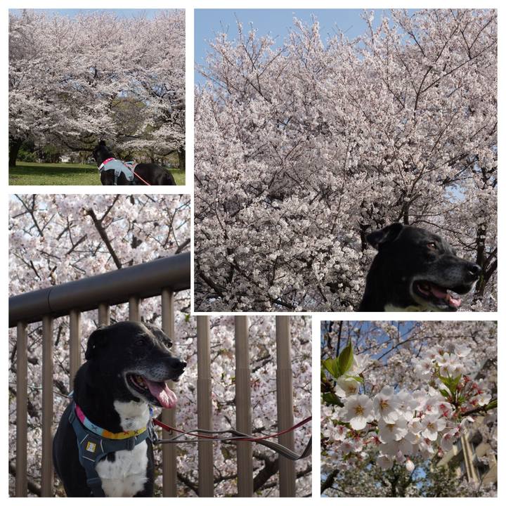 20d94168 52c9 446b be15 24fa4c9a2b72 1744073854793