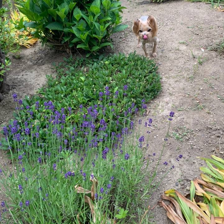 20d9416a 7d1e 447f 82fe ed7e56cb0d88 1625304610617