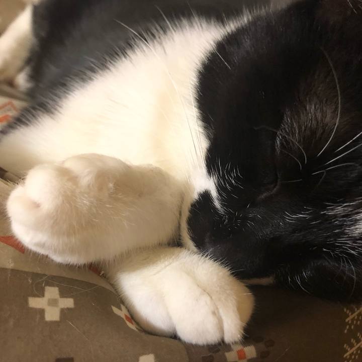 20d94683 5387 49ed aed6 86e798c4043c 1553300700535