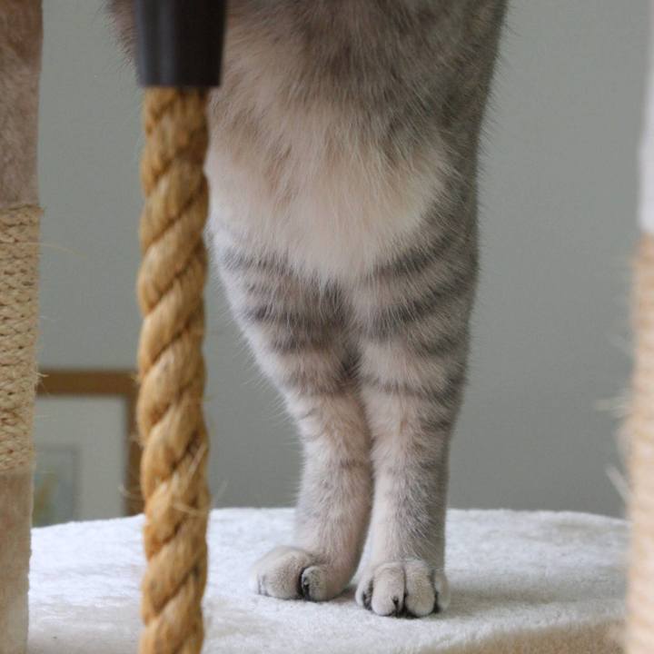 20d94ecd f243 479d be41 67a6cd68700b 1538635281692