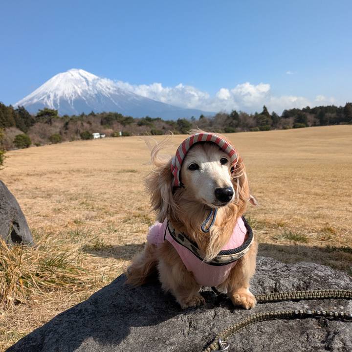 20d96628 04b1 4b55 83a0 ae557c471351 1771902641263