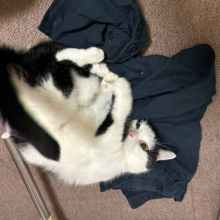 20d966fa 8a08 434c 8b71 abb1b67db03d 1768091997933