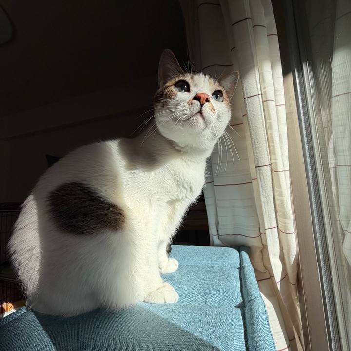 20d96eae d42f 4798 9874 bc9fc977eb91 1773125640103