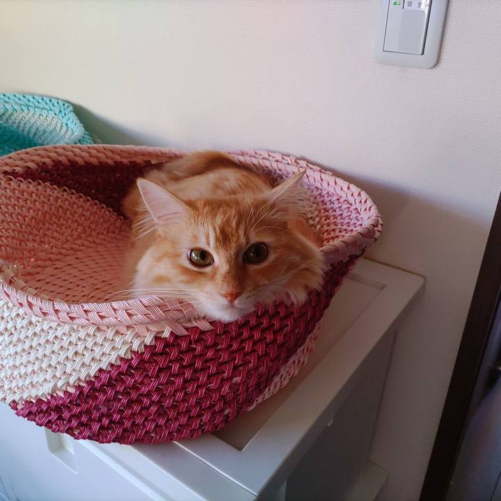 20d995ba 76df 4133 b4ad 7dce01ebb884 1659909014571