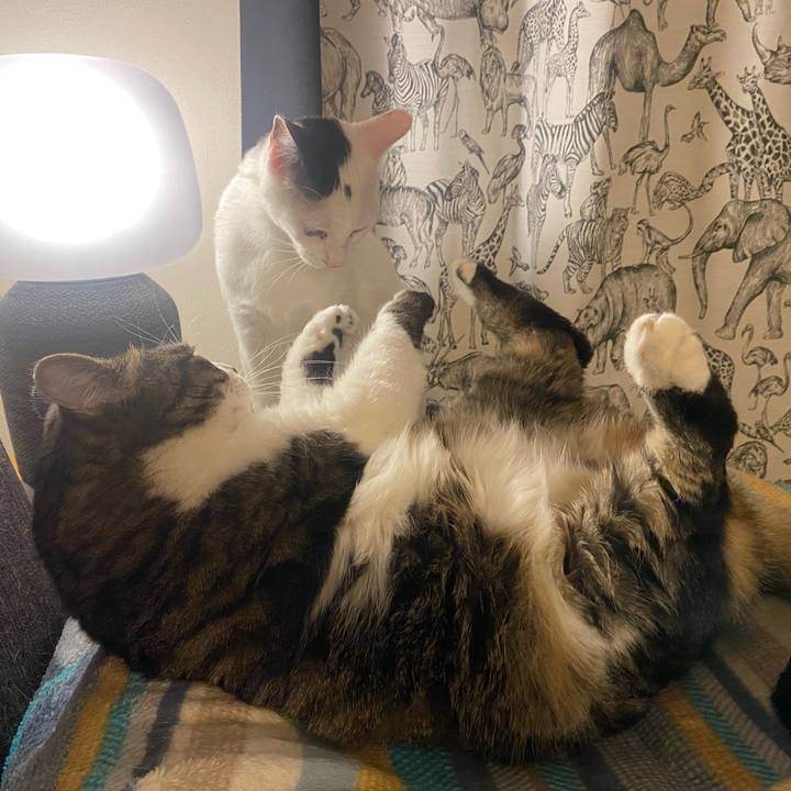 20d99813 c003 4be9 8357 43c1b92d7129 1710154828938