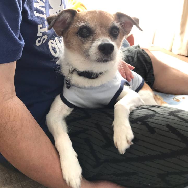 20d99d5d 44fd 4241 9066 19508a98425e 1569816807688