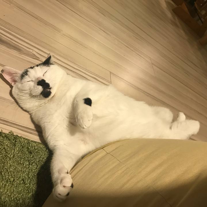 20d9ae75 5539 421b a789 9f3736176adf 1518873844343