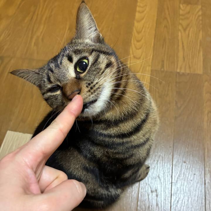 20d9af02 c0f5 4b4a 8f7f 1f88800b0a88 1774443484313