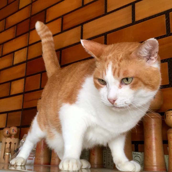 20d9b746 2dc1 4bbe 9aa4 f7e1dd90b373 1569900016711