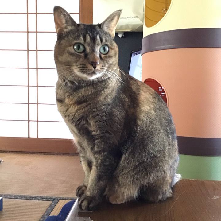 20d9fb69 413f 4d94 80eb dc63ac10ac83 1760496902622