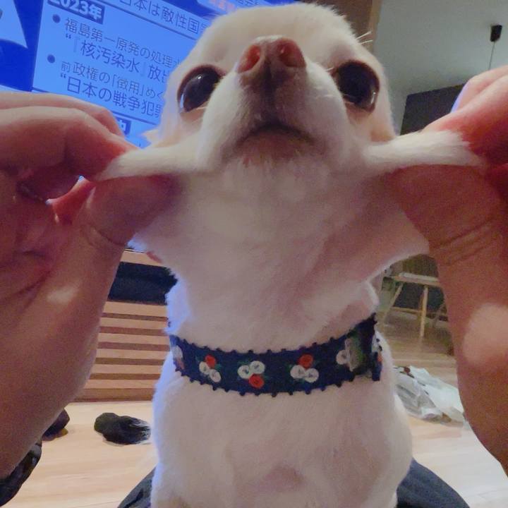 20da06db 61b2 435f 8b14 c2027d402495 1755944989309