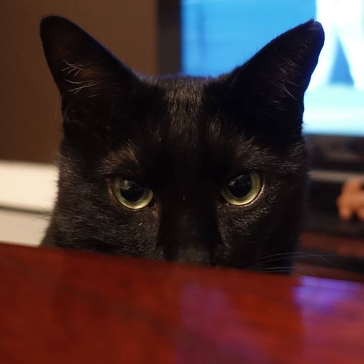 20da1b1a 16ad 4aca af58 b58941af3d52 1531585015267