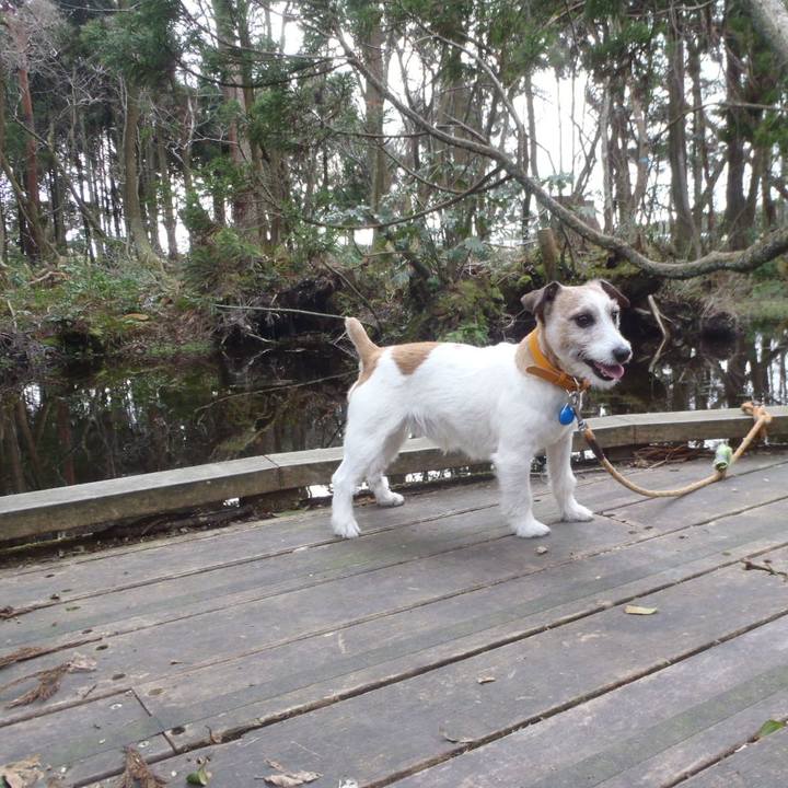 20da2377 be48 440f a5ee 1ab0be2147af 1521364944731